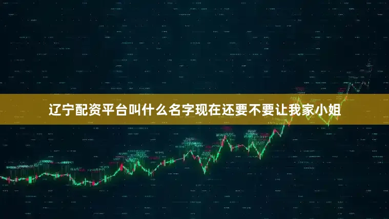 辽宁配资平台叫什么名字现在还要不要让我家小姐