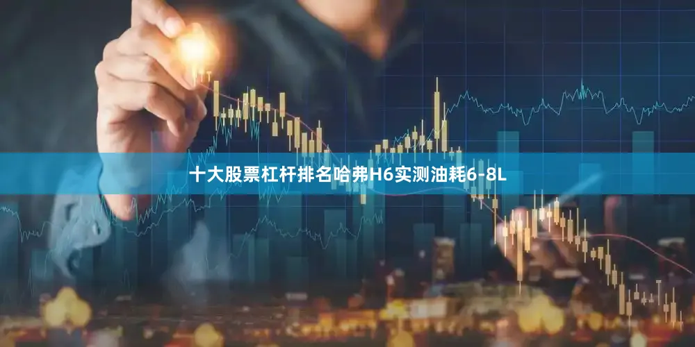 十大股票杠杆排名哈弗H6实测油耗6-8L