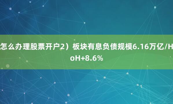 怎么办理股票开户2）板块有息负债规模6.16万亿/HoH+8.6%