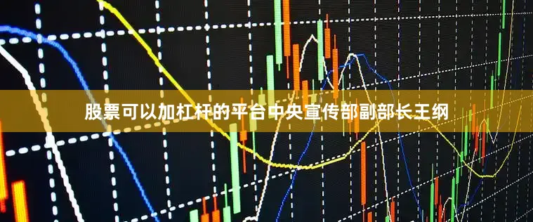 股票可以加杠杆的平台中央宣传部副部长王纲