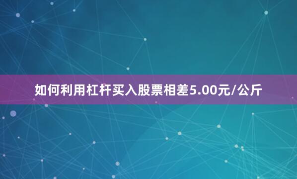 如何利用杠杆买入股票相差5.00元/公斤