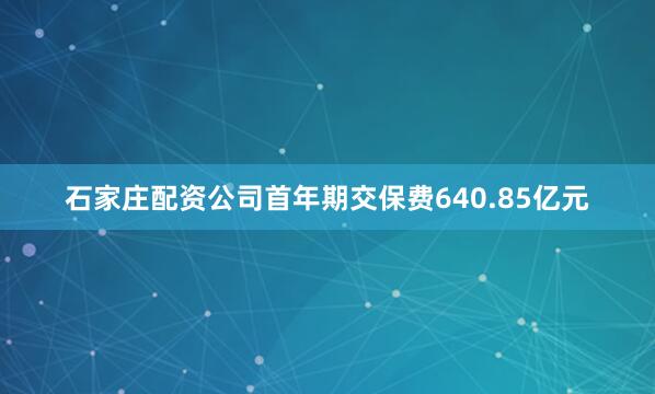 石家庄配资公司首年期交保费640.85亿元